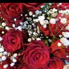 user4950083343497