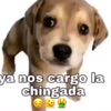 yanoscargo0