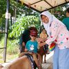 citraagdinaputri