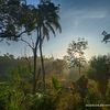 mylittleforest074