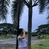 urlifesie