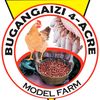 bugangaizimodelfarm