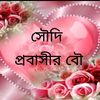 emranhawladar40