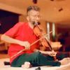 violinistloges