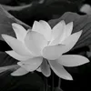 thaohaysuy305