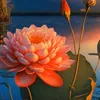 duongcam199