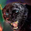 leoncarrera_44