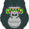 user47c3vsn371
