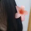 chanzyew