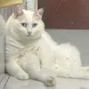 wwuyuhee