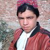 fazalden83481