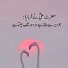shahid.abbas.313