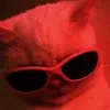 red_cat._