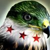 user8303156201338