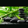 buddhadarma