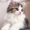 lolaaala0