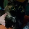 usersfll6h6zmz