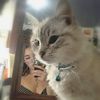 claudiahoseok5