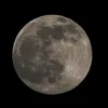 leticiaxx_lele38
