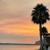 sunnysideupp111