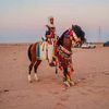 alkdaky.alkdaky.01