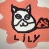 lillycat143