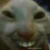 huyzthanhz8