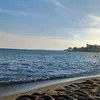 michipepa.1