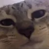 abenleeyeon