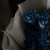 user0009_33