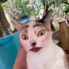 guillenathegoat