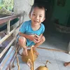 hotmail.comngyenhoa11