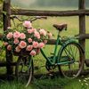 hanibhatti783