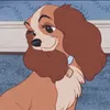 robinbelanna