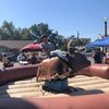 tristan_dye1221