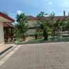 jutono19