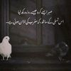 zeeshan_khan757