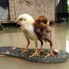 userrmxtkc74mw