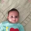 user356268012