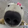 perfohq0_0