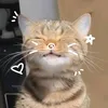 shairahcamillegin