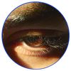 sumit.10m
