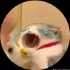 chaeuijae24