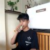 himalpro2