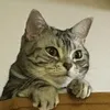 user941633051165