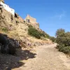migueltraspies