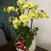 nguyencuong5656