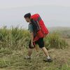 arizaarif2
