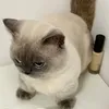 weheckinlovexiaojie