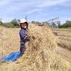 aorballorganicfarm